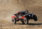 Losi 1/10 Hammer Rey 4WD RTR
