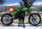 Losi Promoto-MX Motorcycle 1:4 RTR, Pro Circuit