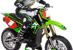 Losi Promoto-MX Motorcycle 1:4 RTR, Pro Circuit