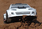 Losi Micro-Rally Car 1:24 4WD RTR