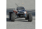 Losi HIGHroller Lifted Truck 2WD 1:10 RTR