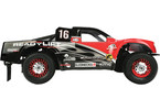 Losi Ready Lift XXX-SCT 1:10 RTR