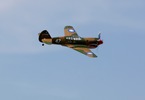 P-40 Warhawk Ultra-Micro AS3X Bind & Fly