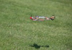 P-40 Warhawk Ultra-Micro AS3X Bind & Fly