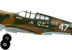 P-40 Warhawk Ultra-Micro AS3X Bind & Fly