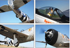 P-47 Thunderbolt Plug & Play