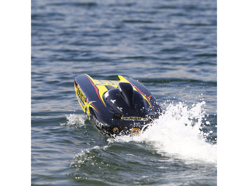 Rockstar 48 catamaran top