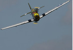 P-51D Mustang Gunfighter RTF Electric 2.4GHz Mód 2