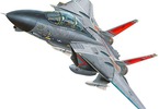 Revell EasyKit - F-14 Tomcat (1:100)