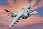 Revell EasyKit - Hawker Harrier (1:100)