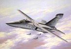 Revell Grumman EF-111A Raven (1:72) (sada)