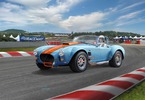 Revell Shelby Cobra 427 1965 (1:24) (sada)
