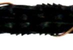 Olson list do lupénkové pilky 0.89x0.89x127mm spirálový (12ks)