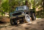 Traxxas TRX-4 Ford F-150 1979 1:10 RTR