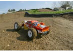 Losi Mini-T Pro 1:18 ARR