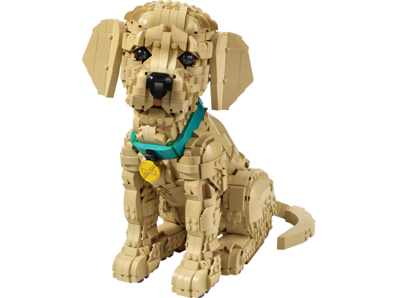 LEGO Icons - Štěně zlatého retrívra