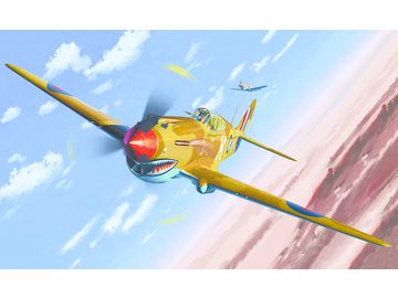 Academy Curtiss P-40 Tomahawk IIB Ace of African Front LE (1:48) / AC-12235