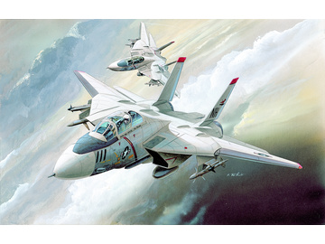 Academy Grumman F-14 Tomcat (1:144) / AC-12608