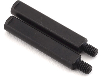 Arrma Center Brace Pin (2) / ARA320529