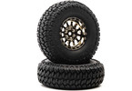 Duratrax kolo 1.9" Class 1 Scaler CR C3 chrom (2)