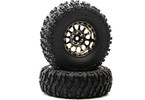 Duratrax kolo 1.9" Class 1 Ascend CR C3 chrom (2)