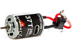 Brushed Motor Tazer 37-Turn 380