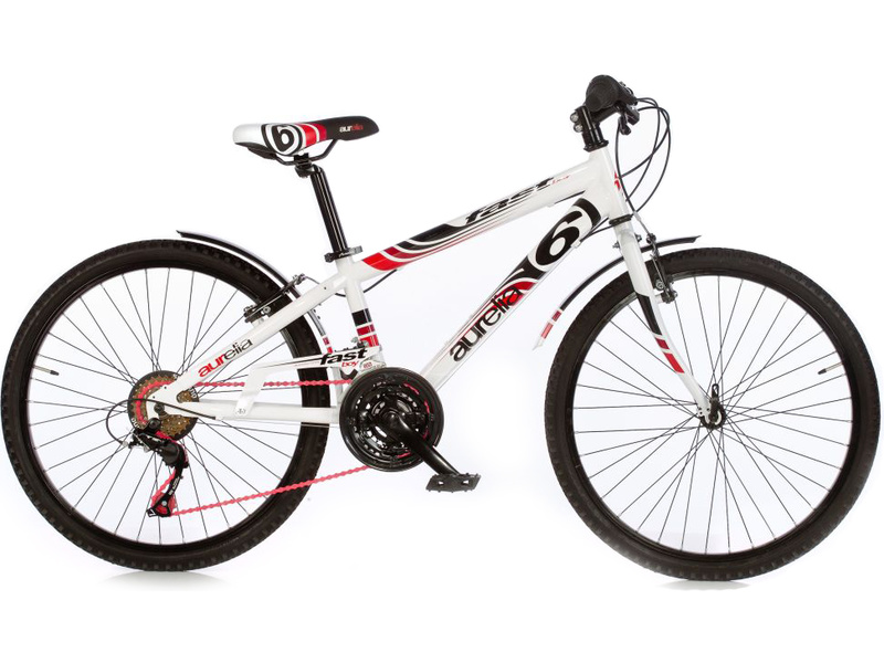 DINO Bikes - Children's bike 24\