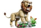 LEGO Creator - Wild Animals: Majestic Lion