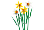 LEGO Others - Daffodils