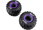 Losi kolo s pneu MT, beadlock fialový (2): Mini LMT