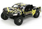 Losi Mini Rockstar SCT 1:16 RTR