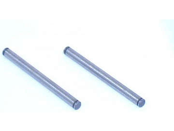 Losi Front Inner Hinge Pins: XXT,XXX,XXX-T Losi Front Inner Hinge Pins: XXT,XXX,XXX-T / LOSA2007