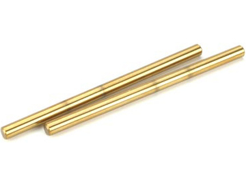 Losi vnitřní čepy ramen TiN (2): LST/2,AFT,MUG,MGB / LOSB4102