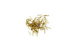 AMATI Brass nail 0.5x10mm (150)