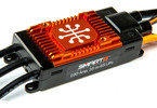 Spektrum regulátor Smart Avian 100A 3-6S Verze A