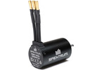 Spektrum Firma 3650-3400Kv 4-Pole Sensorless Brushless Motor: 5mm