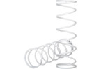 Traxxas Springs, front (2)
