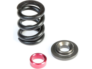 TLR HD Slipper Spring Set, SHDS / TLR232083