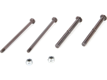 Front Hinge/King Pin Set: All 22 / TLR234052
