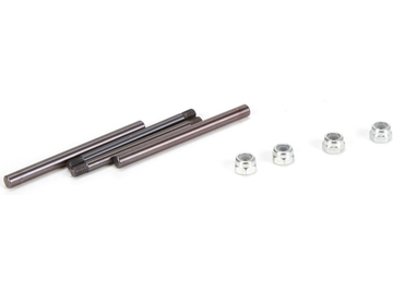 Rear Hinge Pin Set: 22 3.0 / TLR234053