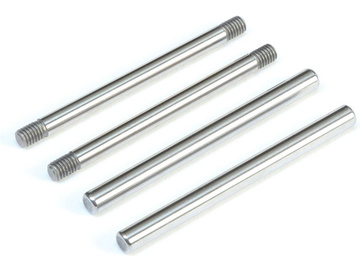 TLR Rear Hinge Pin Set, Polished: All 22 / TLR234099
