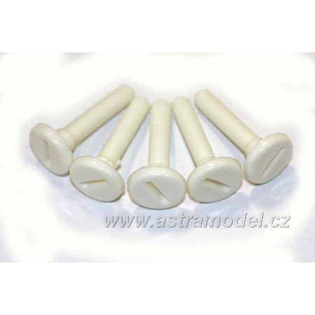 Skrutka nylon valcová hlava M6x30 (5) A9017